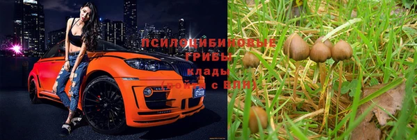 СК Мегион