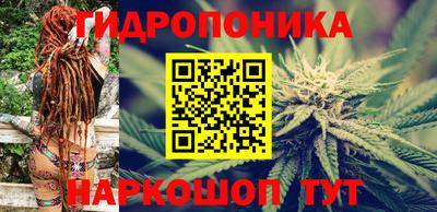 гидра Кинель