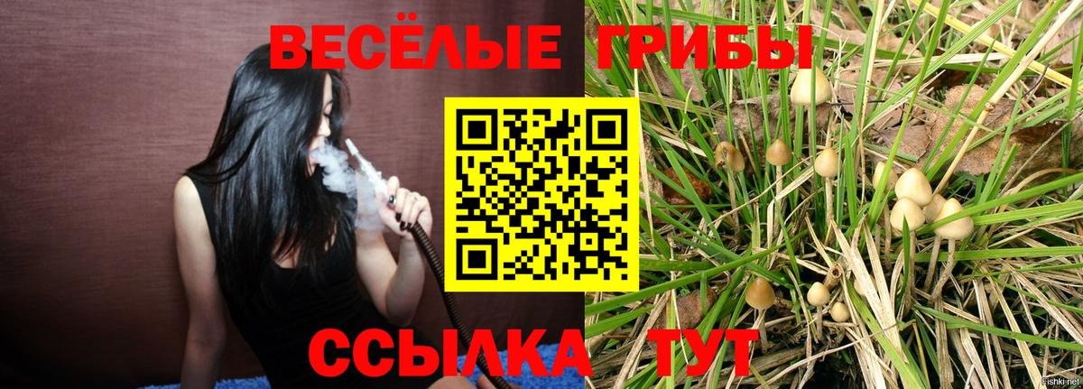 Галлюциногенные грибы GOLDEN TEACHER Чусовой