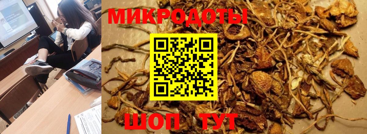 Псилоцибиновые грибы MAGIC MUSHROOMS  Псилоцибиновые грибы прущие грибы  Чусовой 