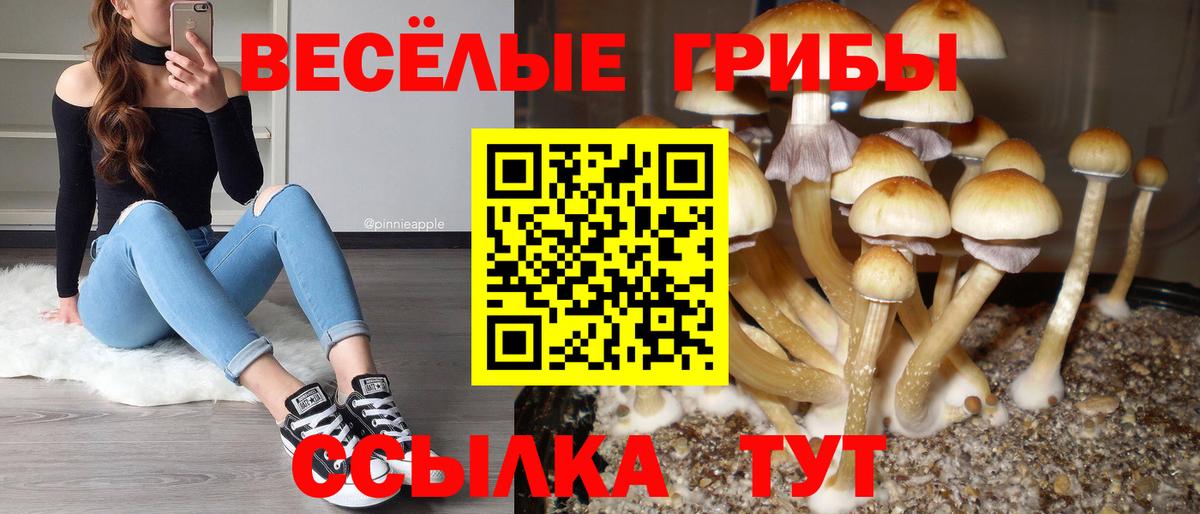 Галлюциногенные грибы прущие грибы Чусовой